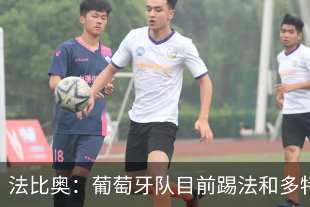 法比奥：葡萄牙队目前踢法和多特相似，我很期待接下来的训练